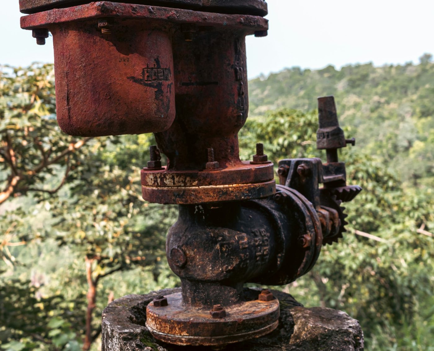 Weathered valve assembly with a flanged joint